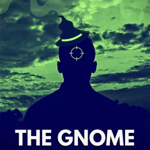 The Gnome Situation E-Book